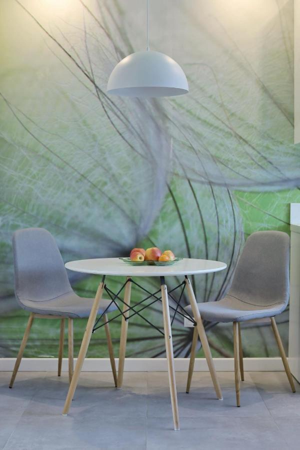 Capital Towers - Apartament Green Z Widokiem Na Rzeke رشيشوف المظهر الخارجي الصورة